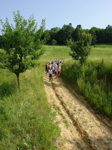 Foto in bataia Soarelui (c) eMaramures